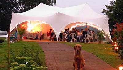 Party-Marquee-Dog